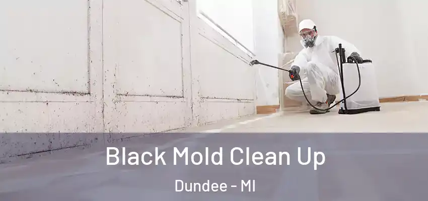  Black Mold Clean Up Dundee - MI