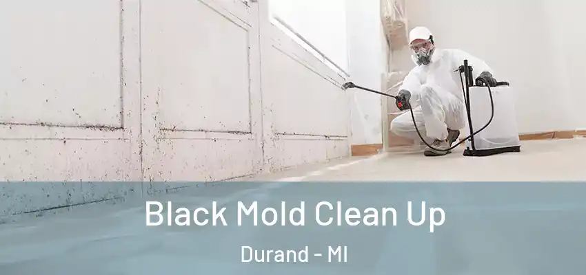  Black Mold Clean Up Durand - MI