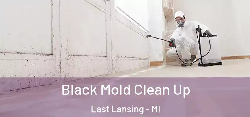  Black Mold Clean Up East Lansing - MI