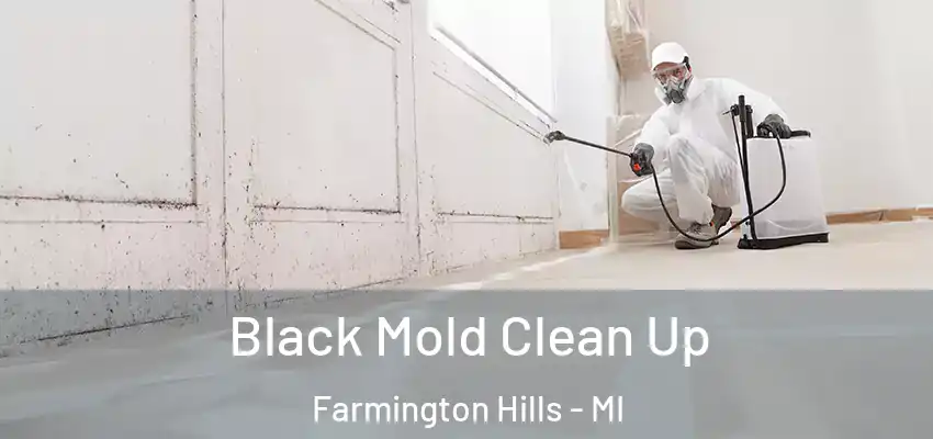  Black Mold Clean Up Farmington Hills - MI