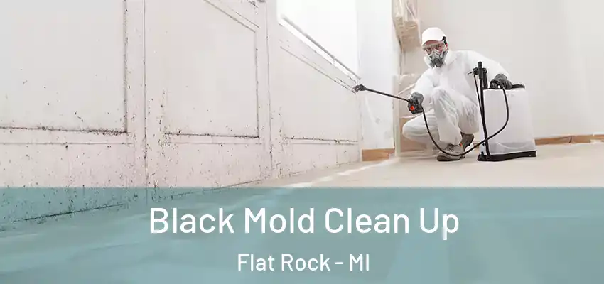  Black Mold Clean Up Flat Rock - MI