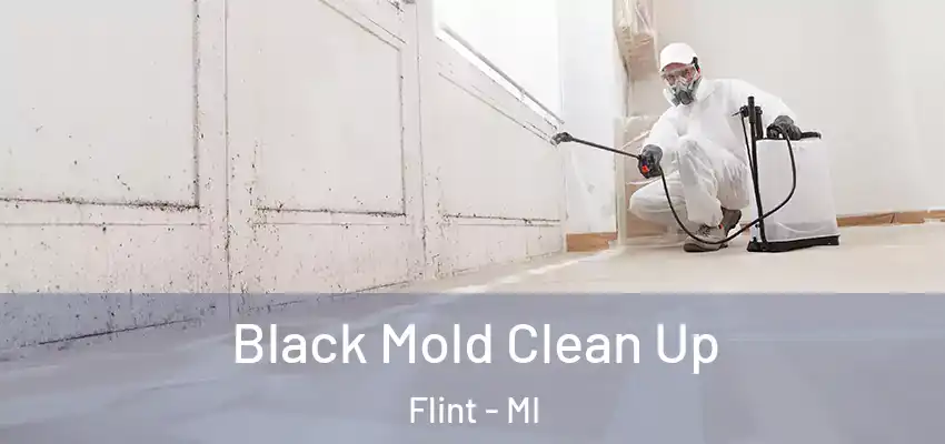  Black Mold Clean Up Flint - MI