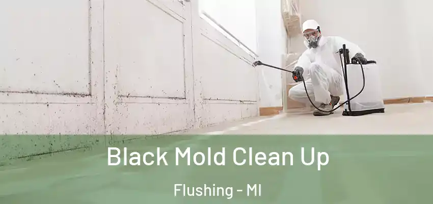  Black Mold Clean Up Flushing - MI