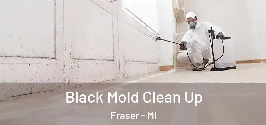  Black Mold Clean Up Fraser - MI