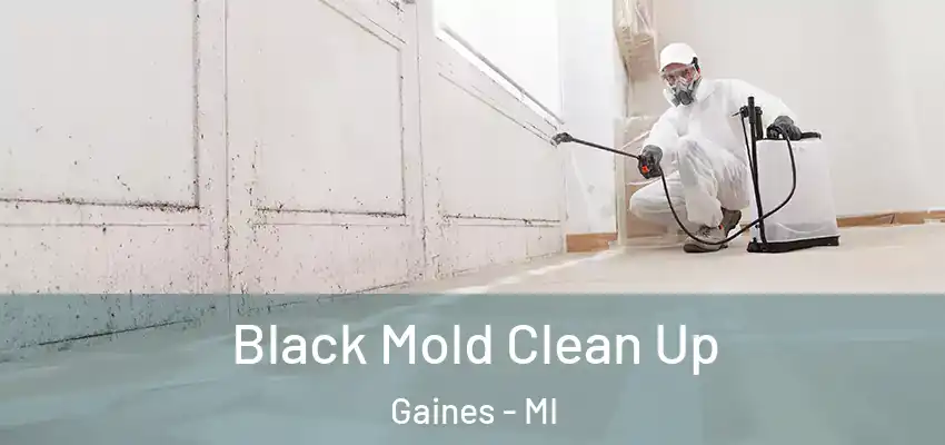  Black Mold Clean Up Gaines - MI