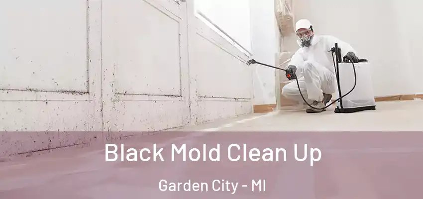 Black Mold Clean Up Garden City - MI
