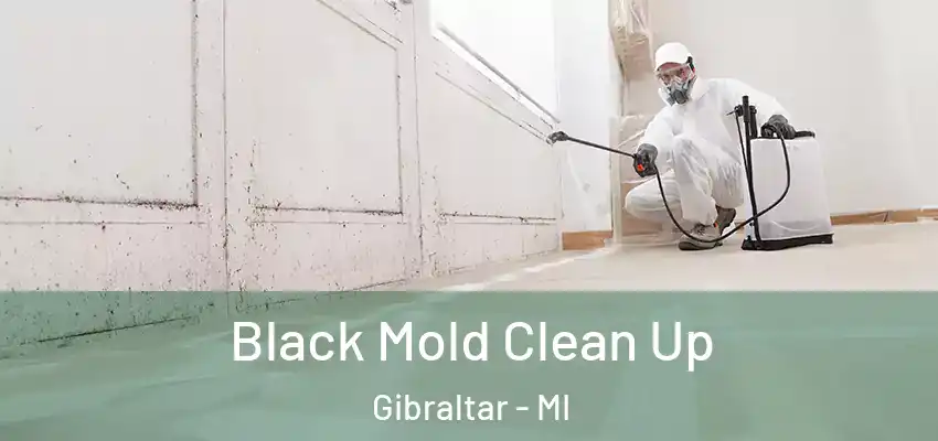  Black Mold Clean Up Gibraltar - MI
