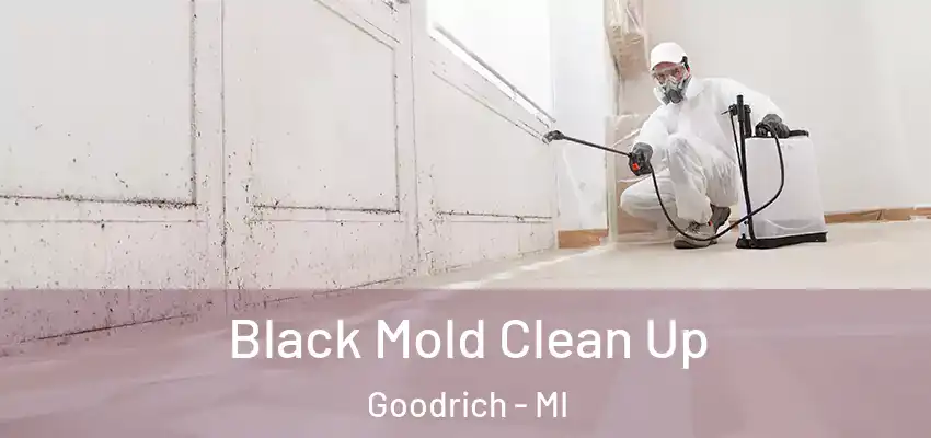 Black Mold Clean Up Goodrich - MI
