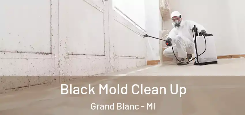 Black Mold Clean Up Grand Blanc - MI