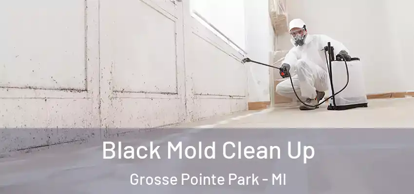  Black Mold Clean Up Grosse Pointe Park - MI