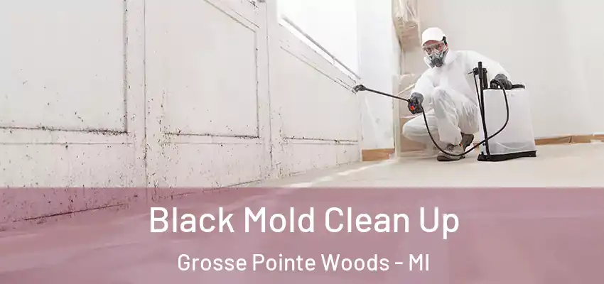  Black Mold Clean Up Grosse Pointe Woods - MI