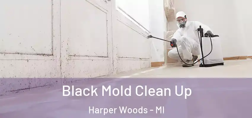 Black Mold Clean Up Harper Woods - MI