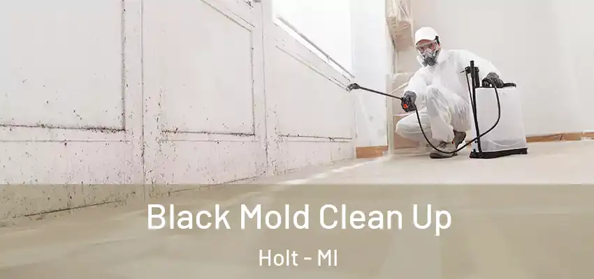  Black Mold Clean Up Holt - MI