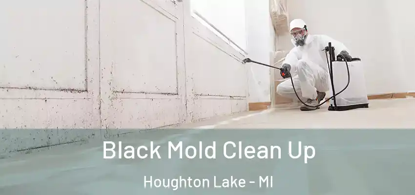  Black Mold Clean Up Houghton Lake - MI