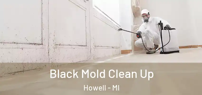  Black Mold Clean Up Howell - MI