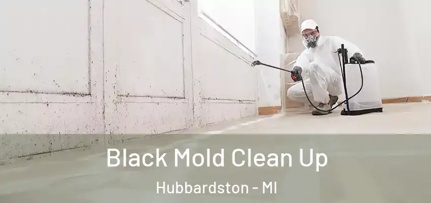  Black Mold Clean Up Hubbardston - MI