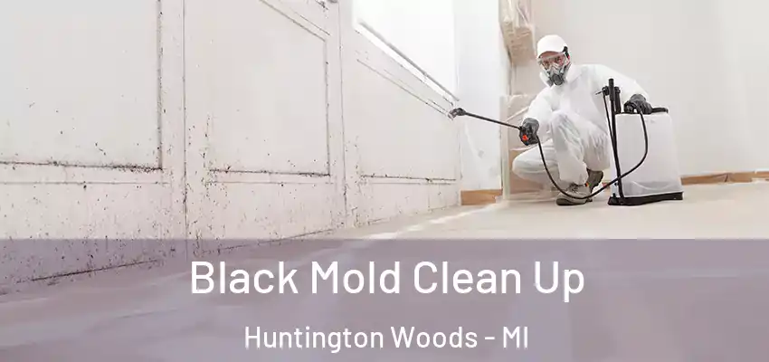  Black Mold Clean Up Huntington Woods - MI
