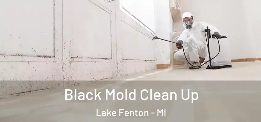  Black Mold Clean Up Lake Fenton - MI