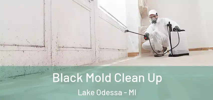  Black Mold Clean Up Lake Odessa - MI