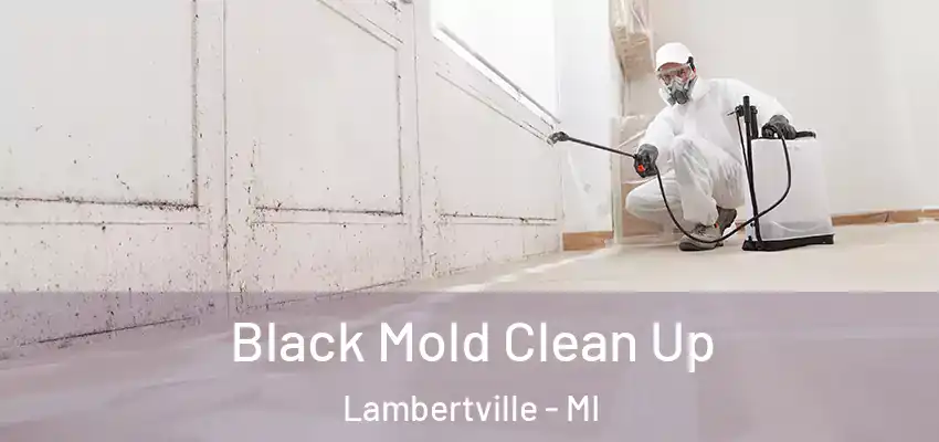  Black Mold Clean Up Lambertville - MI