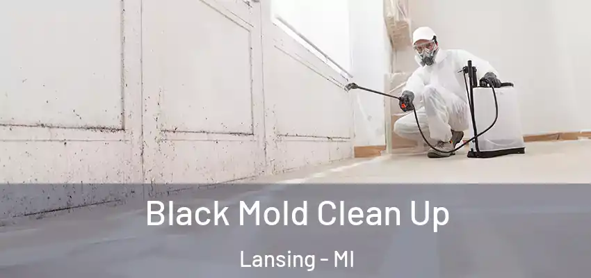  Black Mold Clean Up Lansing - MI