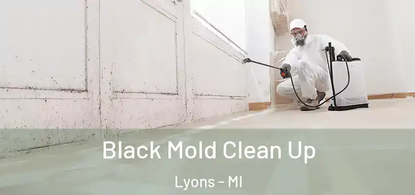  Black Mold Clean Up Lyons - MI