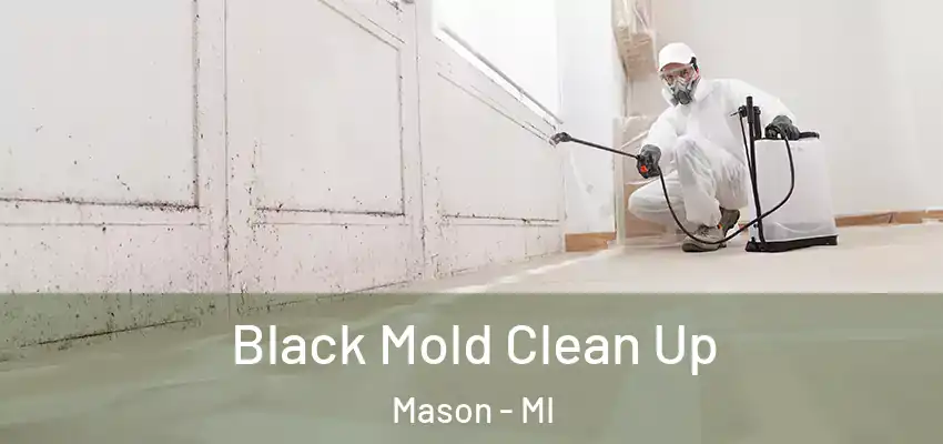  Black Mold Clean Up Mason - MI