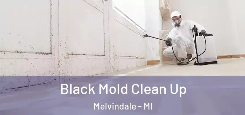  Black Mold Clean Up Melvindale - MI