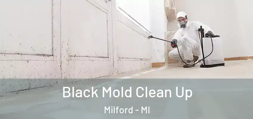  Black Mold Clean Up Milford - MI
