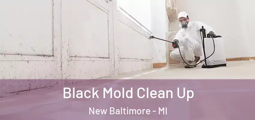  Black Mold Clean Up New Baltimore - MI