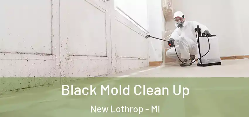  Black Mold Clean Up New Lothrop - MI