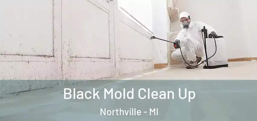  Black Mold Clean Up Northville - MI