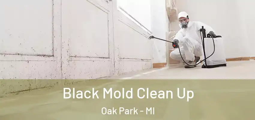  Black Mold Clean Up Oak Park - MI
