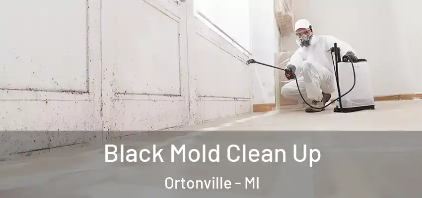  Black Mold Clean Up Ortonville - MI
