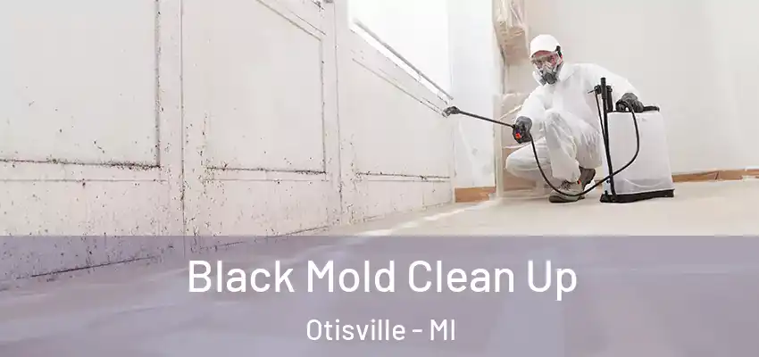 Black Mold Clean Up Otisville - MI