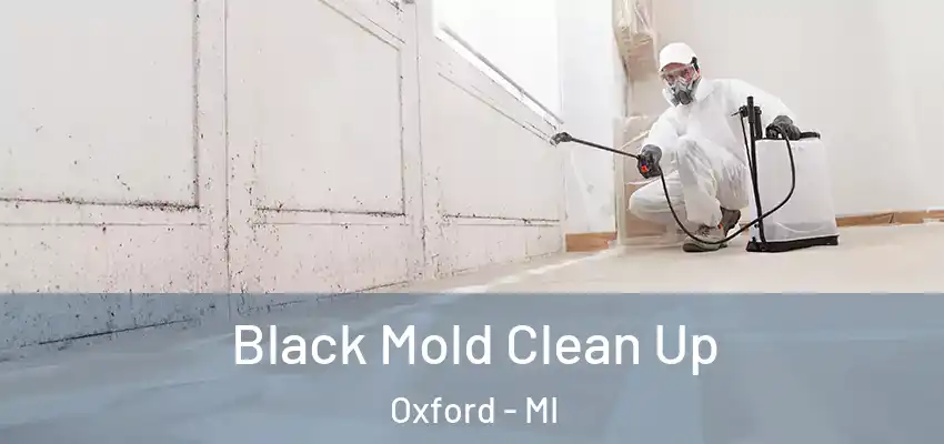  Black Mold Clean Up Oxford - MI