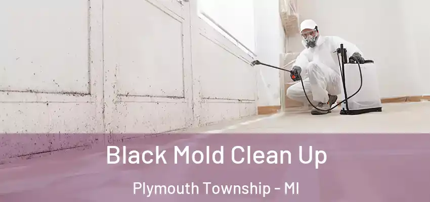  Black Mold Clean Up Plymouth Township - MI
