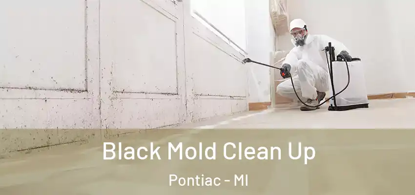  Black Mold Clean Up Pontiac - MI