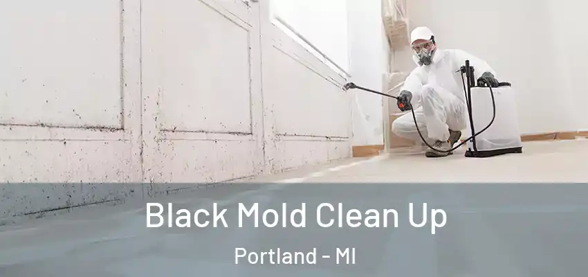  Black Mold Clean Up Portland - MI