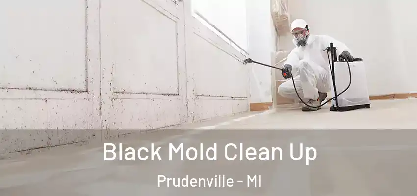  Black Mold Clean Up Prudenville - MI