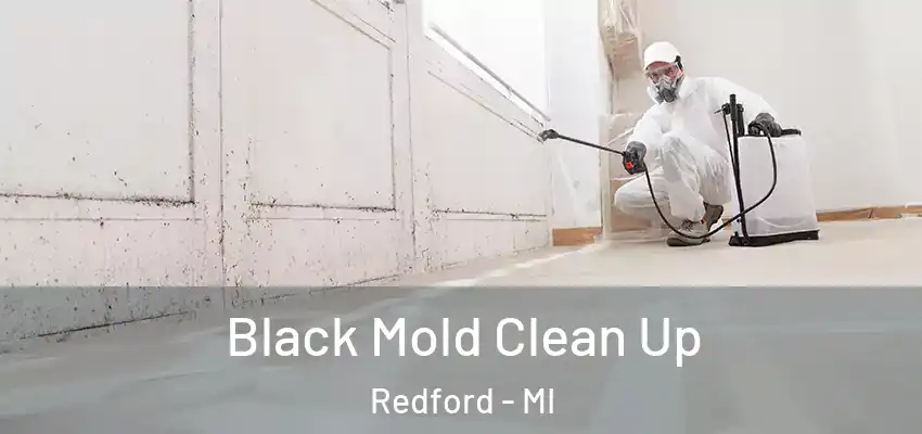  Black Mold Clean Up Redford - MI