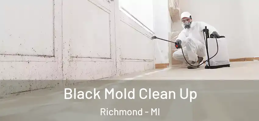  Black Mold Clean Up Richmond - MI