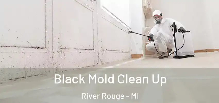  Black Mold Clean Up River Rouge - MI