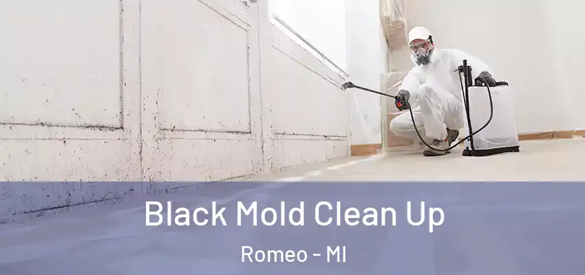 Black Mold Clean Up Romeo - MI