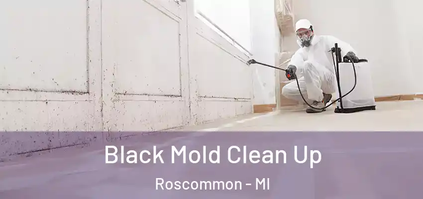  Black Mold Clean Up Roscommon - MI