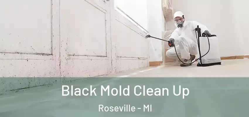  Black Mold Clean Up Roseville - MI