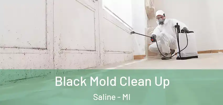  Black Mold Clean Up Saline - MI