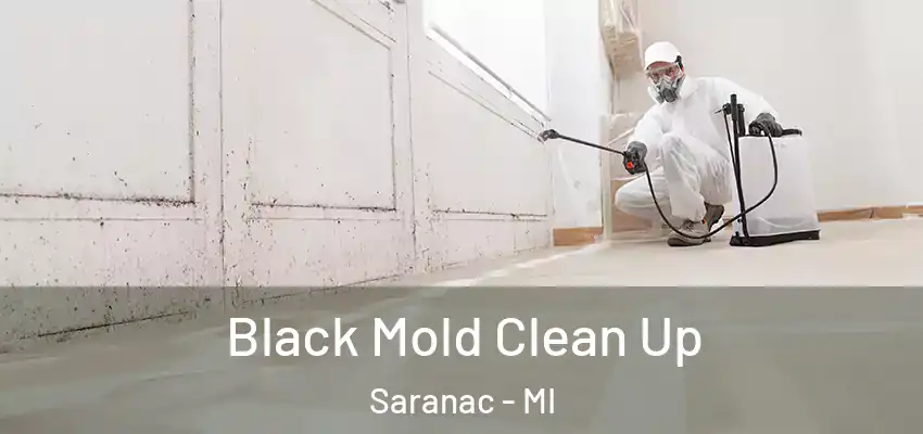  Black Mold Clean Up Saranac - MI