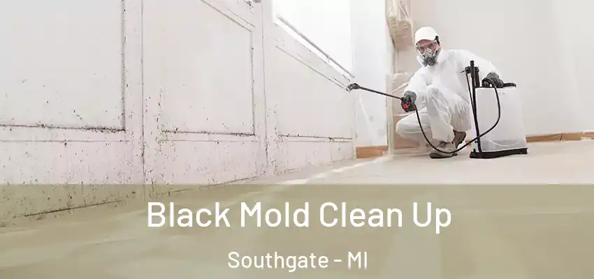  Black Mold Clean Up Southgate - MI