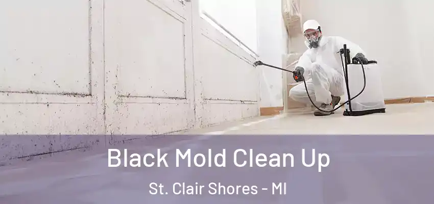  Black Mold Clean Up St. Clair Shores - MI